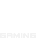 Retrogaming